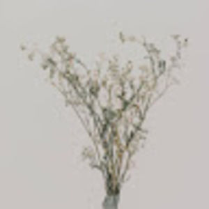 Meet your Posher, Perry